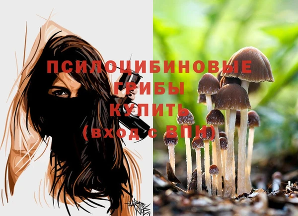 мет Зерноград