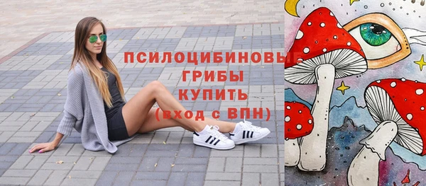 ГАЛЛЮЦИНОГЕННЫЕ ГРИБЫ Зеленокумск