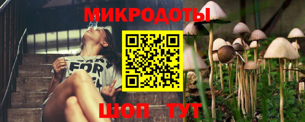 Галлюциногенные грибы GOLDEN TEACHER Пятигорск