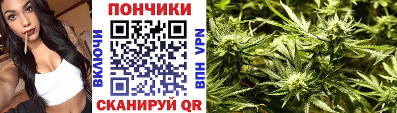 Шишки марихуана планчик  Пятигорск 